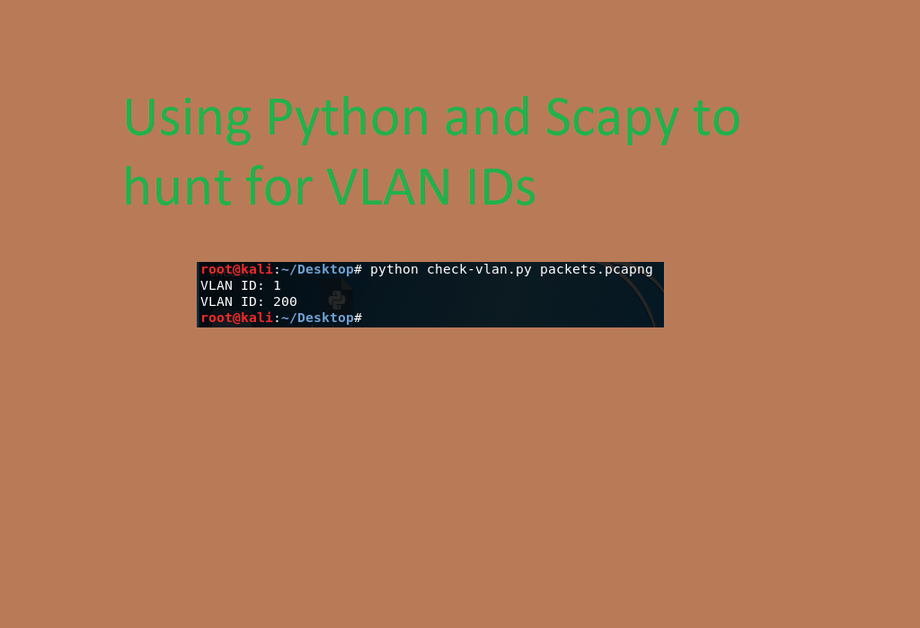 Using Python and Scapy to hunt for VLAN IDs